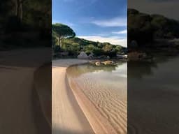 Crystal Clear Waves on a Golden Beach #naturelovers #aweinspiringnature #beautifulnature