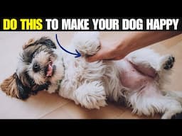 15 Simple Things That Make Your Dog Happy and Healthy