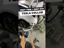 Tesla Paintless Collision Repair #advancedpdr #tesladentrepair