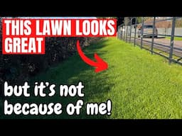 Why does this lawn look so good? It's not because of me!