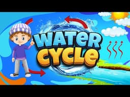 Water Cycle | Science Lesson Educational Video  | How does rain form? | The Water Cycle Process