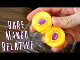 MAPRANG - This rare mango relative is more interesting than I thought (Bouea macrophylla)