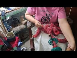 Spinning a Festive 3-breed Yarn