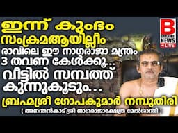 ഇന്നു കറുത്തവാവിലെ ആയില്യംമക്കള്‍ക്ക് ദുരിതങ്ങള്‍ ഉണ്ടാകാതിരിക്കാന്‍ നാഗരാജാവിന്റെ ഈ മന്ത്രംചൊല്ലുക