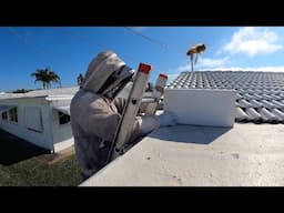 Setting Up a Trapout for Honeybees