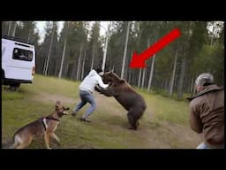 If These Animal Moments Were Not Filmed, No One Would Have Believed Them