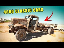 You won't believe the cars rotting away here!