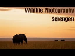 The Most Luxurious Camp I've Ever Stayed in - Serengeti