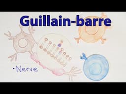 Guillain barre | Molecular mimicry