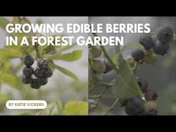 Growing Edible Berries in a Forest Garden