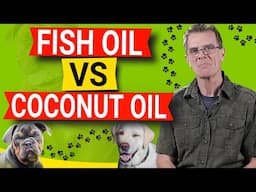 Fish Oil For Dogs vs Coconut Oil (MCT Oil) Which Is Better