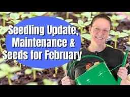 🌱 Seedling Update: What’s Growing Well, Seedling Care & February Seed Starting Plans! 🌸