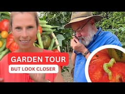 BUG EXPERT tours my veg garden, finds mind-blowing insect underbelly!🐞🐜🐛🍅Organic Pest Control Tips