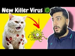 Poor Cats are Infected with New Virus | Most Common Viruses In Cats | Symptoms & Treatment