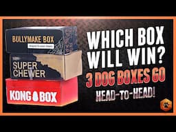 Which Dog Subscription Box Will Win? Bark Box, Bullymake, and Kong Comparison 2020!