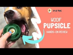 Woof Pupsicle Hands-On Review: A New Kind of Enrichment Toy for Your Dog!