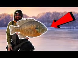 ICE FISHING for 3lb Bluegill!