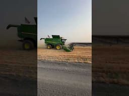 Wheat harvest pt.28 green energy or farming?