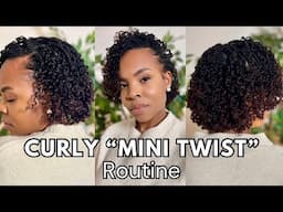 Curly mini twist | Natural Hair | two strand twist | protective styles | length retention