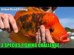 URBAN FISHING! Triple Species Fishing Challenge