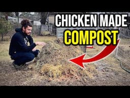 My Chickens are Making Compost for Me // Week 1 Results