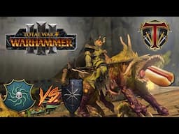 ROR Rot Knights? Warriors of Chaos vs Vampire Coast - Total War Warhammer 3