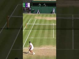 A Djokovic shot for the ages 😍 #wimbledon