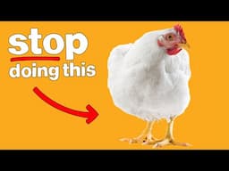 The Top 7 Mistakes New Poultry Farmers Make