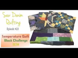 2022 Temperature Quilt and More