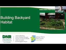 Building Backyard Habitat, with Jessica Merkling