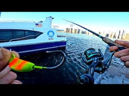 East River Fishing. How To Catch NYC Tautog