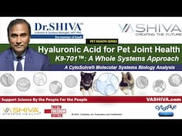 Dr.SHIVA™: Hyaluronic Acid for Holistic Pet Health in K9-701™(12/23)