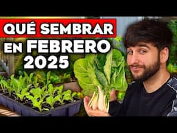 QUÉ SEMBRAR y CULTIVAR en FEBRERO!! 2025 CALENDARIO de SIEMBRA Invierno y Primavera | Huerto Urbano