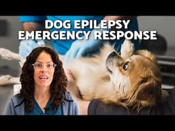 EPILEPTIC SEIZURES in DOGS 🐶 WHAT to DO During an ATTACK