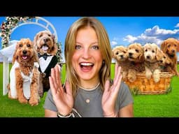 Our Dog got Married and had PUPPIES! THE MOVIE *Emotional*