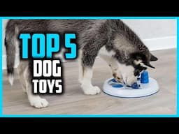 ✅Top 5 Best Dog Toys Reviewed in 2025