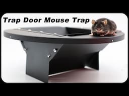 The TRAP Door Mouse Trap Makes Mice Disappear. A Great New Design. Mousetrap Monday.