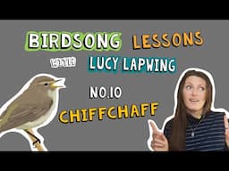 How to Identify Chiffchaff Song - Episode 10 of Birdsong Lessons with Lucy Lapwing