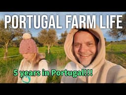 5 Years on Our Farm in Portugal: Facing Challenges and Cherishing Memories