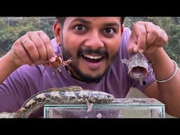 Banana🍌Tree Fishing in river for unique fish collections🔥❤️ | Assam River Fishing