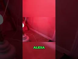 Master Voice Control TAPO with Alexa's Magic