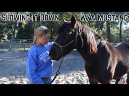 Slowing it Down w/a Wild Mustang  | Buffalo Hills 2024