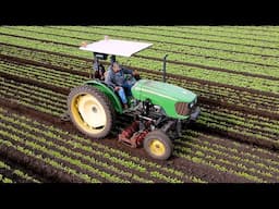 Early-Season Cultivation on a John Deere - Basket Weeding Arugula and Cilantro