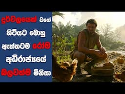 "ග්ලැඩියේටර් 2 (2025)" සිංහල Movie Review | Ending Explained Sinhala | Sinhala Movie Review