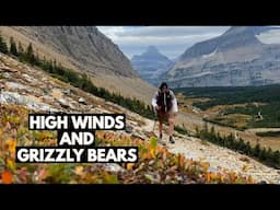 Grizzly Bear Encounter on Siyeh Pass Trail in Glacier National Park