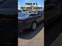 Picked Up a 2021 Dodge Charger SXT at Manheim TX Hobby Auto Auction!