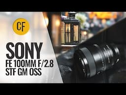 Sony FE 100mm f/2.8 STF GM OSS lens review