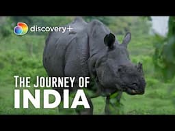 Coexist and Conserve: India's National Parks | The Journey of India | discovery+