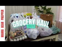 HUGE grocery HAUL stock up (Walmart, Aldi, Sam's Club)