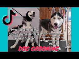 Funny Dog Grooming Tik Tok Compilation w/ Hilarious Voiceover | @girlwitthedogs